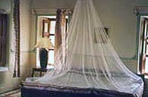 Well Appointed Room at The Piramal Haveli, Baggar