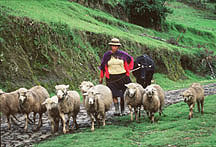 Village Lifestyle - Ecuador