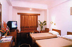 Well Appointed Room - Hotel  India International, Udaipur