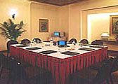 Conference Hall - Hotel Mansingh Palace, Jaipur