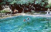 Swimming Pool at Maharani Bagh Orchard, Pali