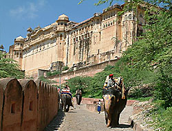 Elephant Ride at Amber Fort, Jaipur