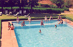 Swimming Pool at Hotel Sariska Palace, Sariska