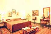 Well Apppointed Room at Sawai Madhopur Lodge, Ranthambore